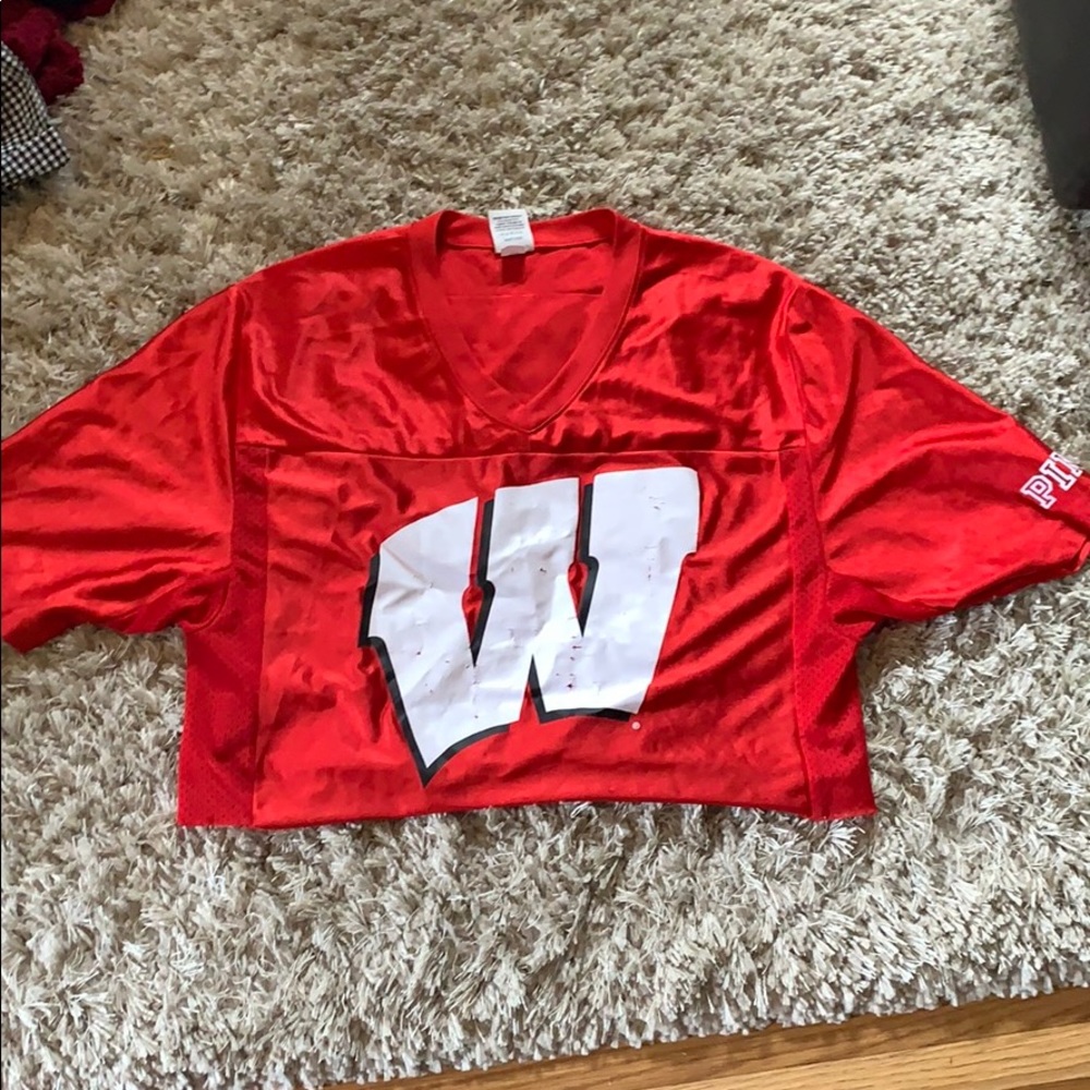 Pink Wisconsin badgers crop top